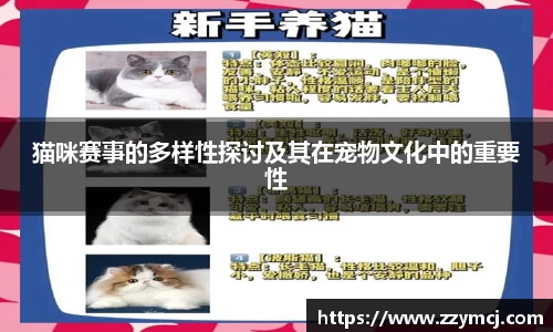 泛亚电竞手机app