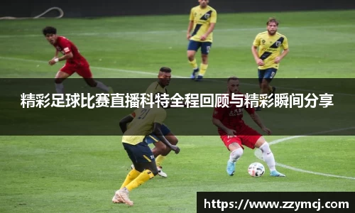 泛亚电竞手机app
