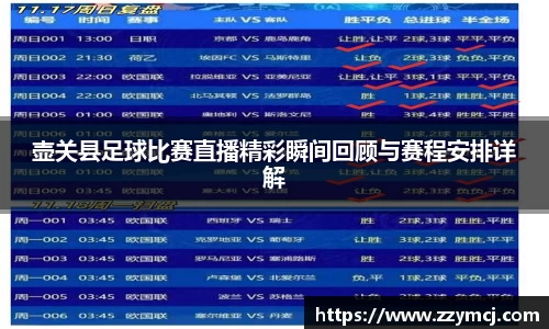 壶关县足球比赛直播精彩瞬间回顾与赛程安排详解