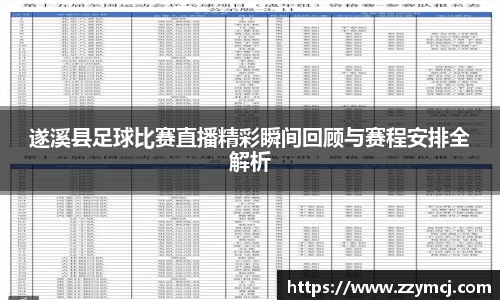 遂溪县足球比赛直播精彩瞬间回顾与赛程安排全解析
