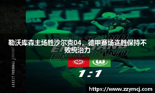 勒沃库森主场胜沙尔克04，德甲赛场连胜保持不败统治力